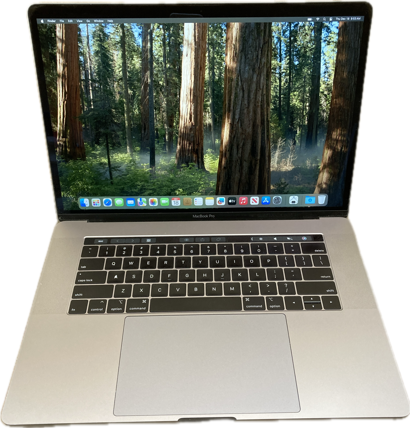 Apple MacBook Pro 15' 2019 i9-9880H 32GB RAM 512SSD Radeon Pro 560X READ!