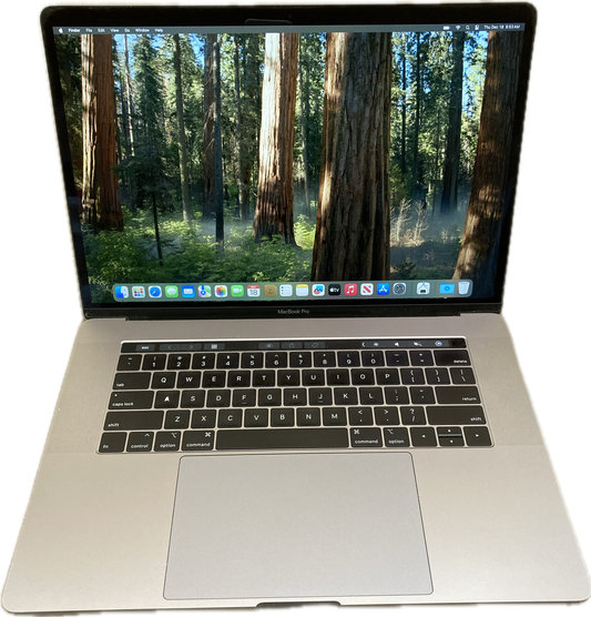 Apple MacBook Pro 15' 2019 i9-9880H 32GB RAM 512SSD Radeon Pro 560X READ