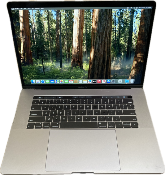 Apple MacBook Pro 15' 2019 i9-9880H 32GB 512SSD Radeon Pro 560X GPU  READ!